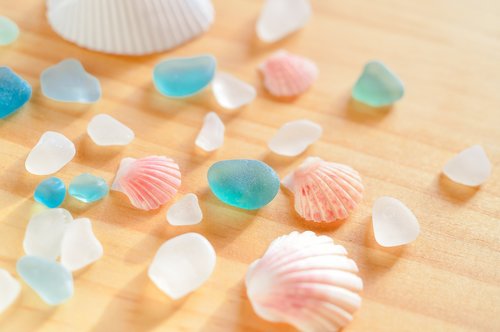 shell  sea glass  marin