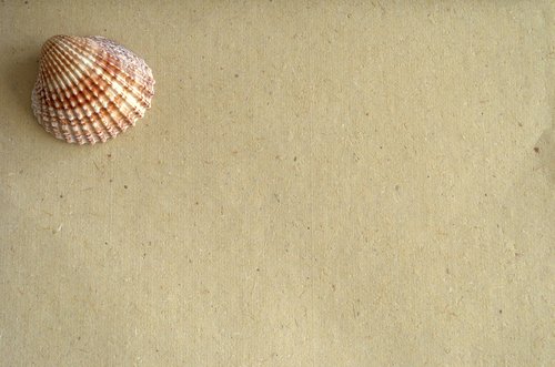 shell  paper  message