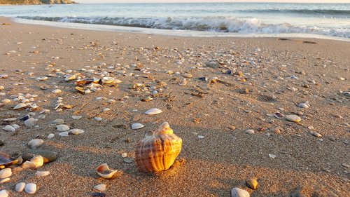 shell  beach  turkey