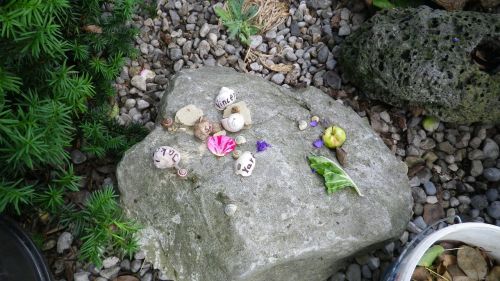 shell stones toys