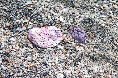 shell sand salento