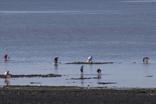 shell fischer saint aubin sur mer normandy