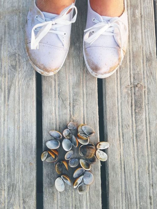 shells bridge shoes