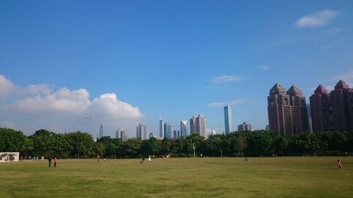 shenzhen lawn blue sky