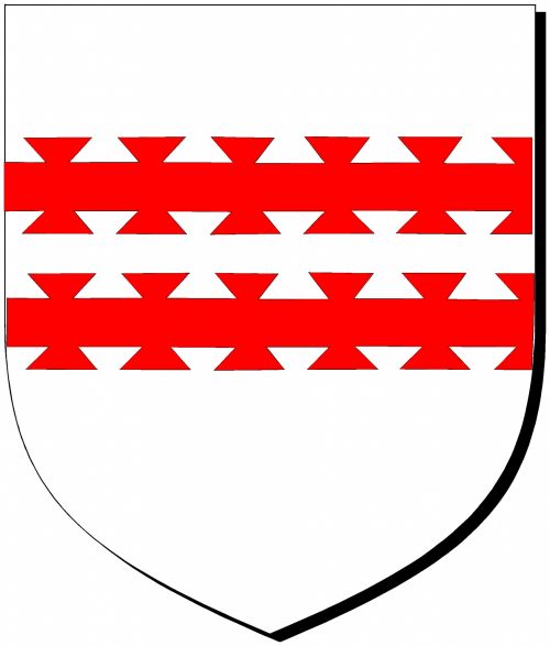 Shield 1