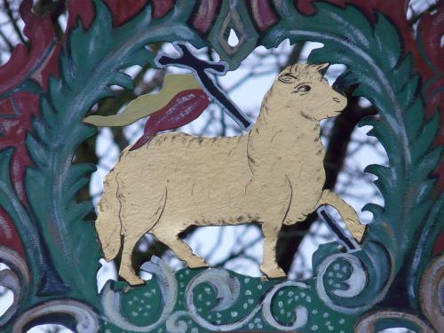 shield sheep lamb