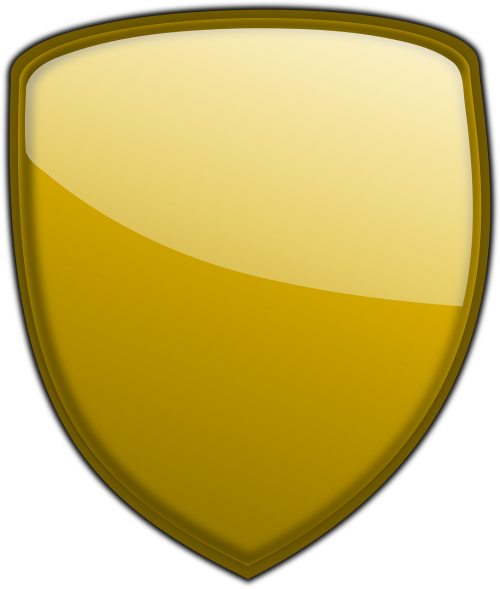 shield protection gloss