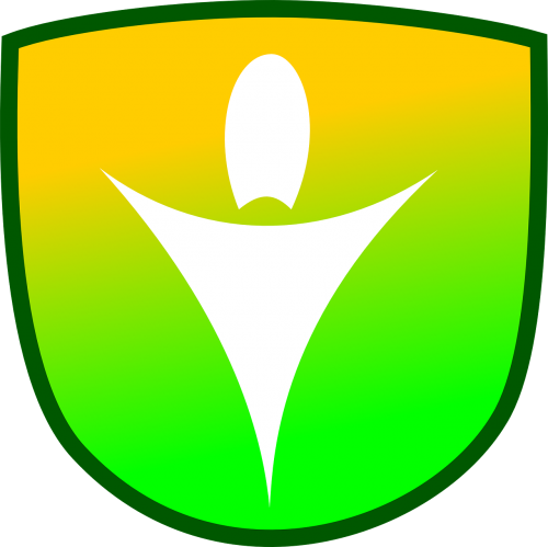 shield badge arrowhead