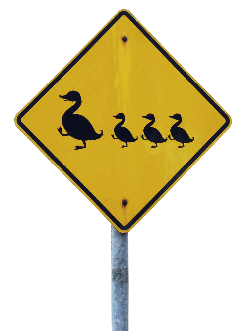 shield traffic sign caution ducks