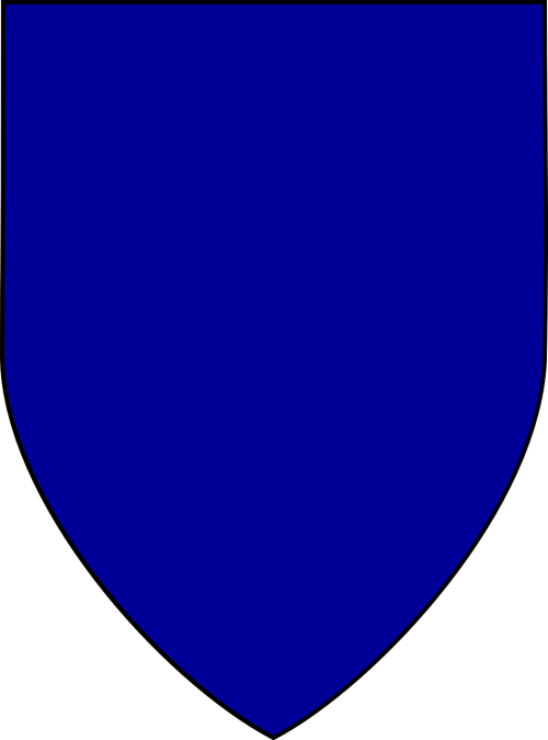 shield blue armor
