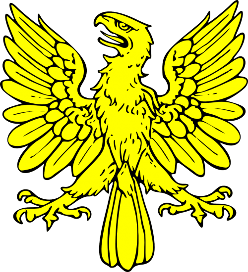 shield eagle bird