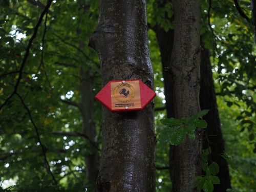 shield trail signs