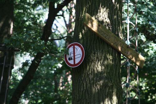 shield climbing forest climbing garden