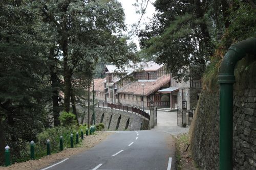 shimla street himachal