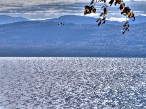 Shimmering Lake