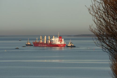 odense fjord ship bulk carrier