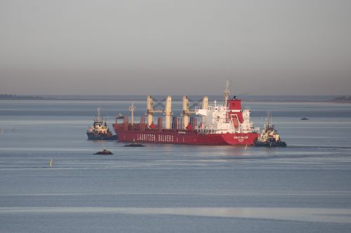 odense fjord ship bulk carrier