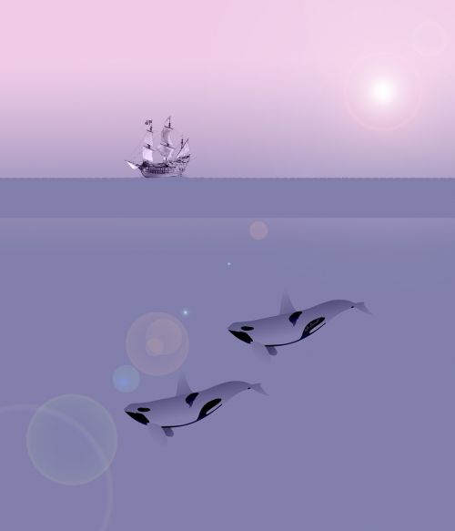 ship ocean whales