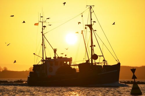 ship sea sunset