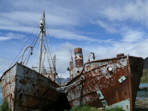 ship wreck southern ocean antarctica