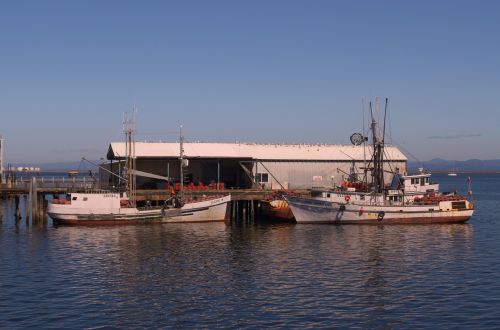 ships fishing vessel port