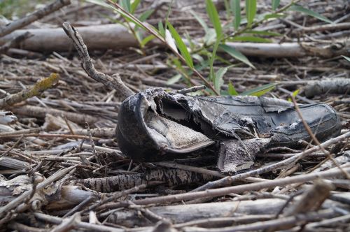 shoe old nature