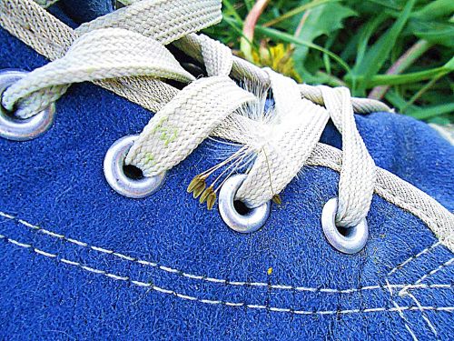 shoe blue shoelace