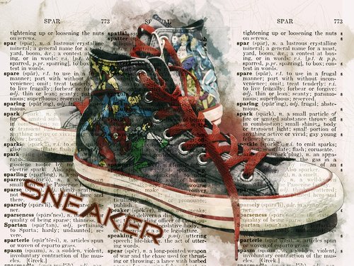 shoe  canvas  sneakers