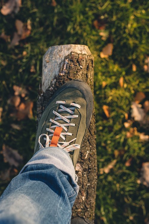 shoe  hiking  tree