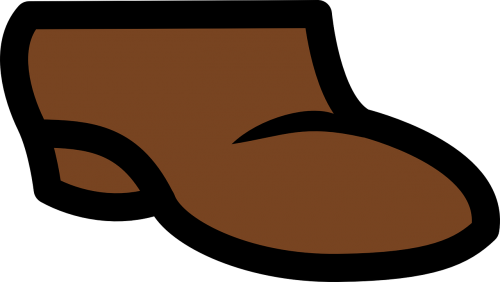 shoe brown foot