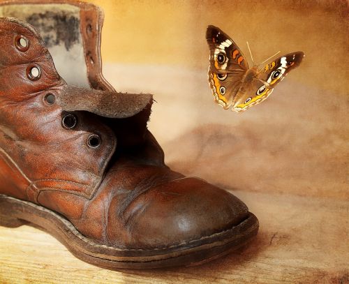 shoe old antique