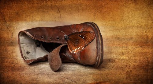 shoe leather shoe children's shoe