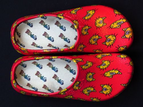 shoe slipper clog