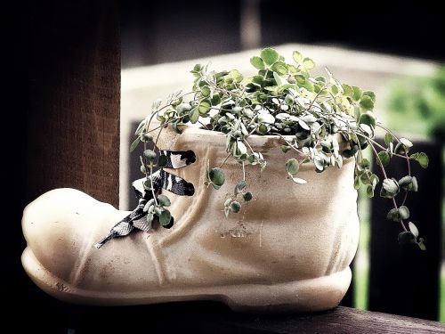 shoe decoration flowerpot