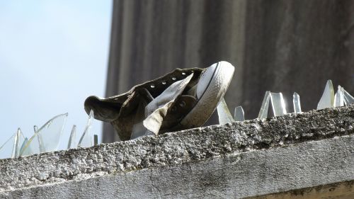 shoe sneaker wall