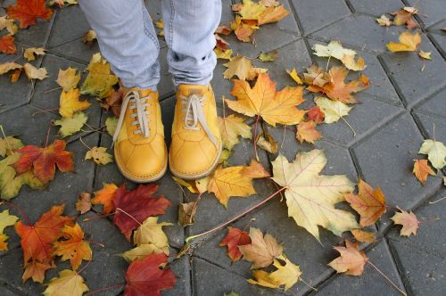 shoes yellow autumn
