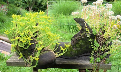 shoes  flowers  garden