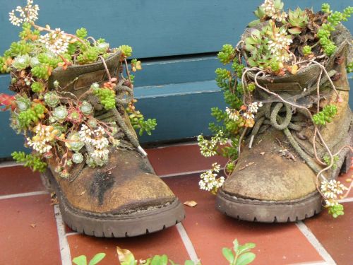 shoes nature flowers