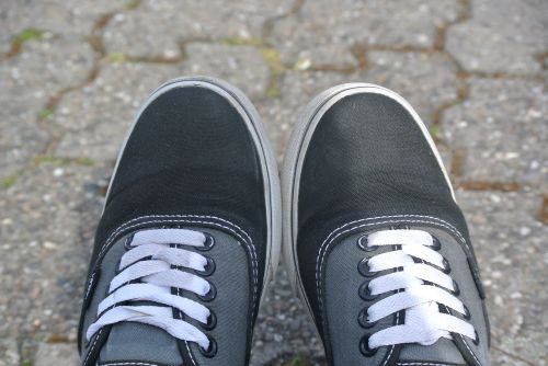 shoes vans road