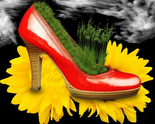 shoes flower sun flower