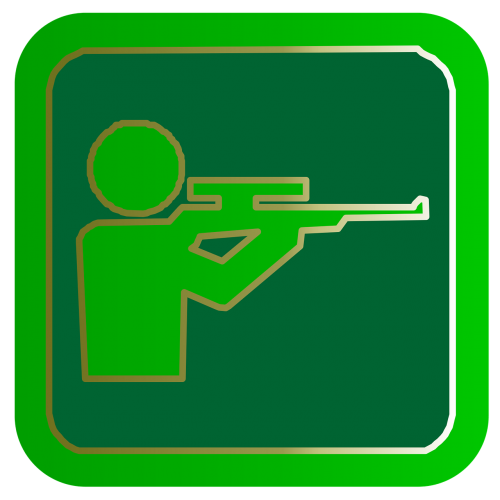 shooting sport gun