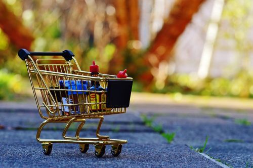 shopping cart shopping purchasing