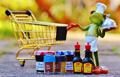 shopping cart shopping frog