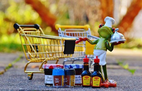 shopping cart shopping frog