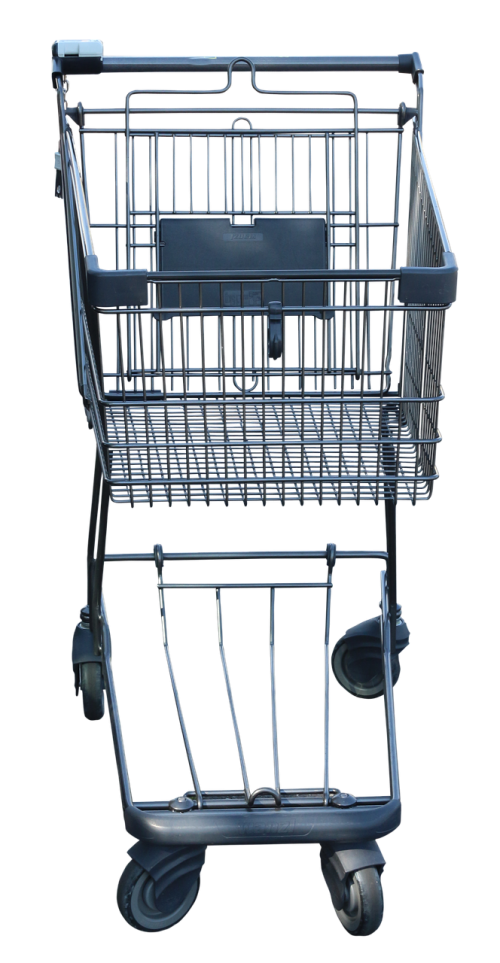 shopping cart shopping