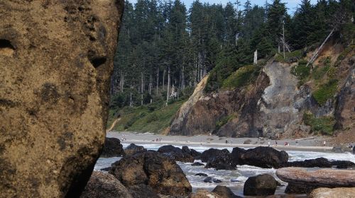 shore beach rocky