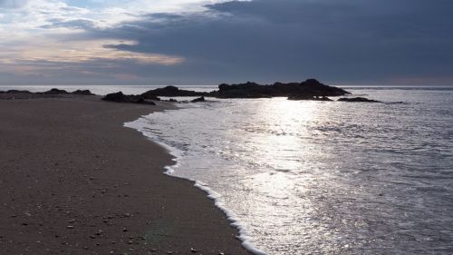 shore beach dawn