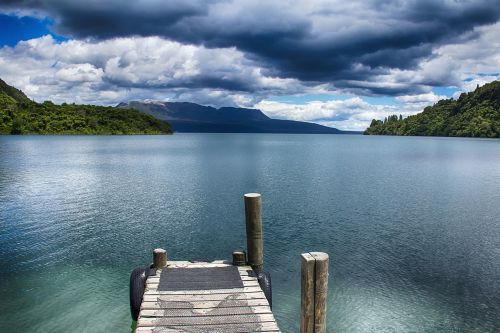 shore nature view