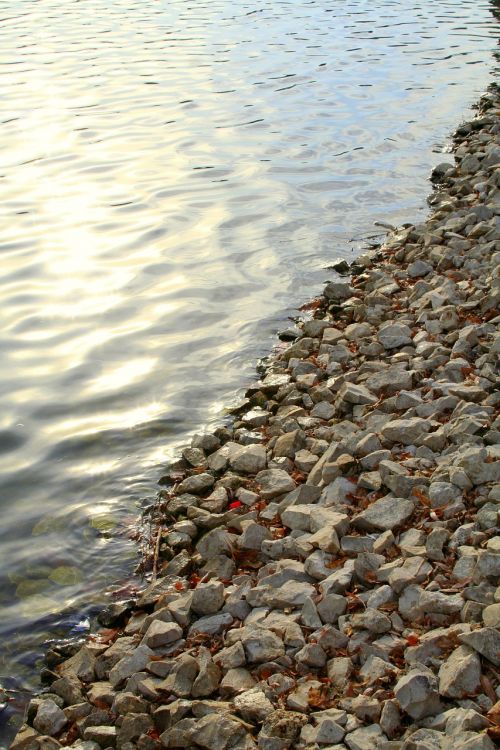 shore pebble rock
