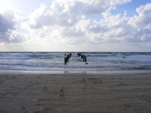 shore sandy beach cloudy